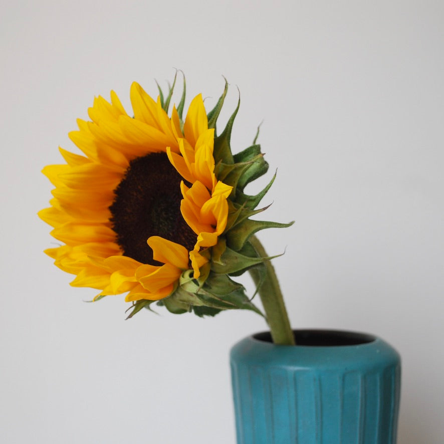 Textured Turquoise Vase